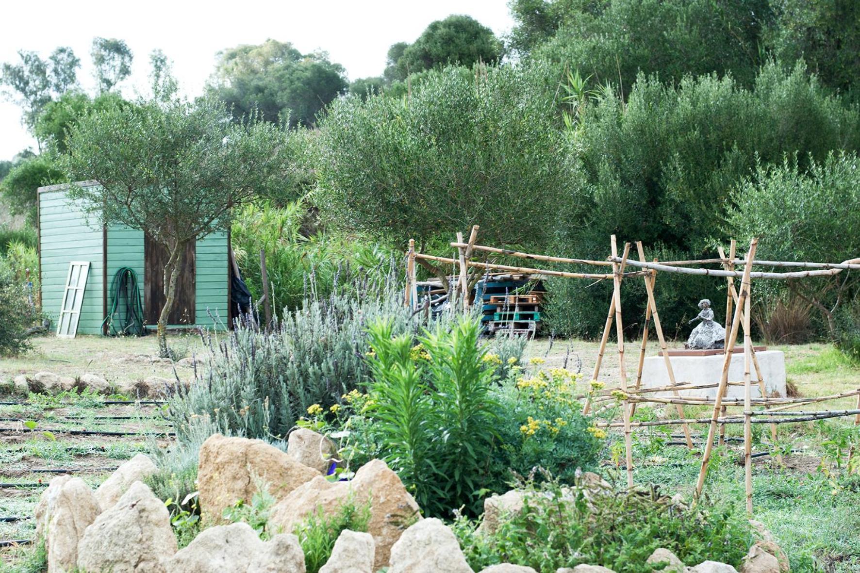 Villa Ruralcamomo Cadice Esterno foto