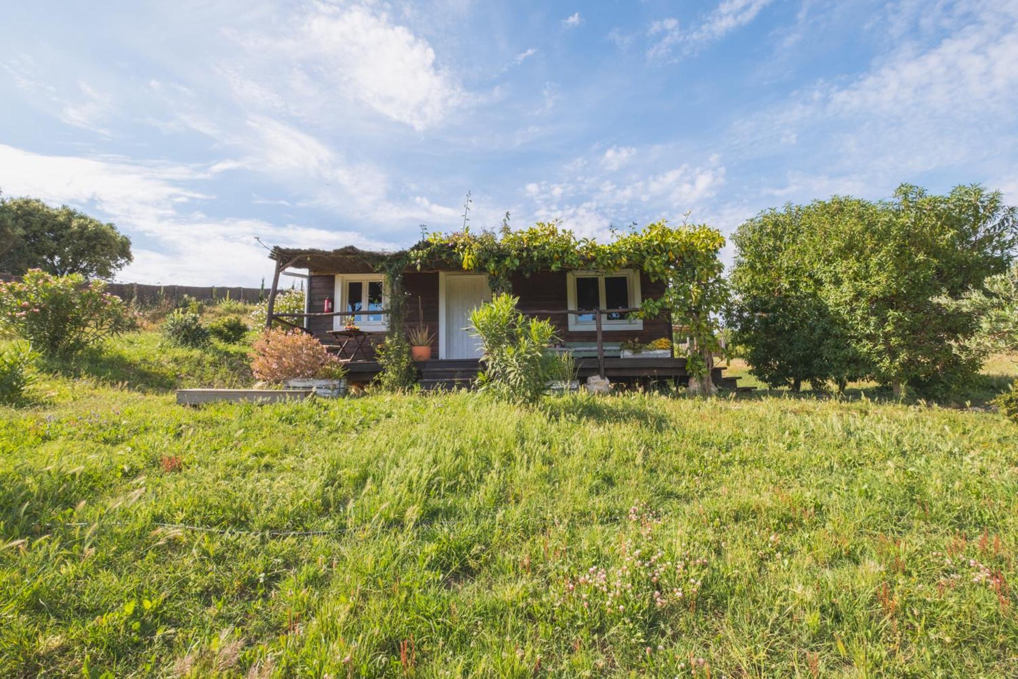 Villa Ruralcamomo Cadice Esterno foto